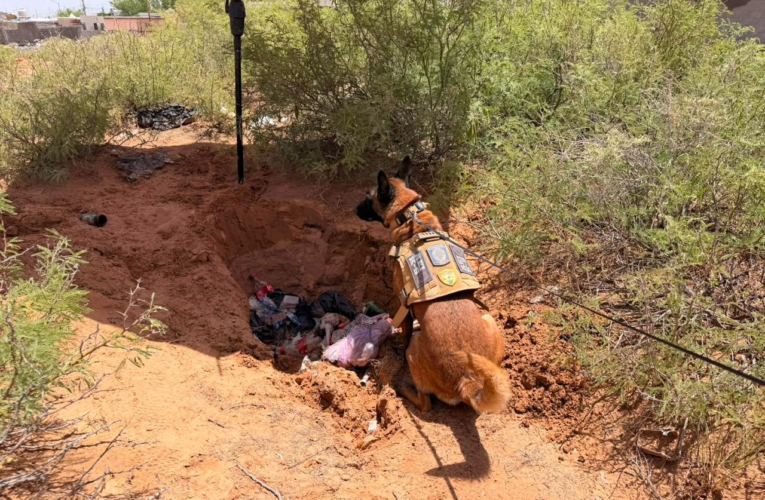 Localizan dos osamentas durante operativo de búsqueda en Ciudad Juárez