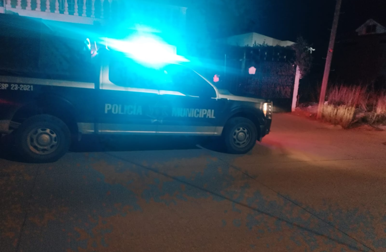 Mujer resulta lesionada tras mordedura de dos perros en Ampliación Lerdo