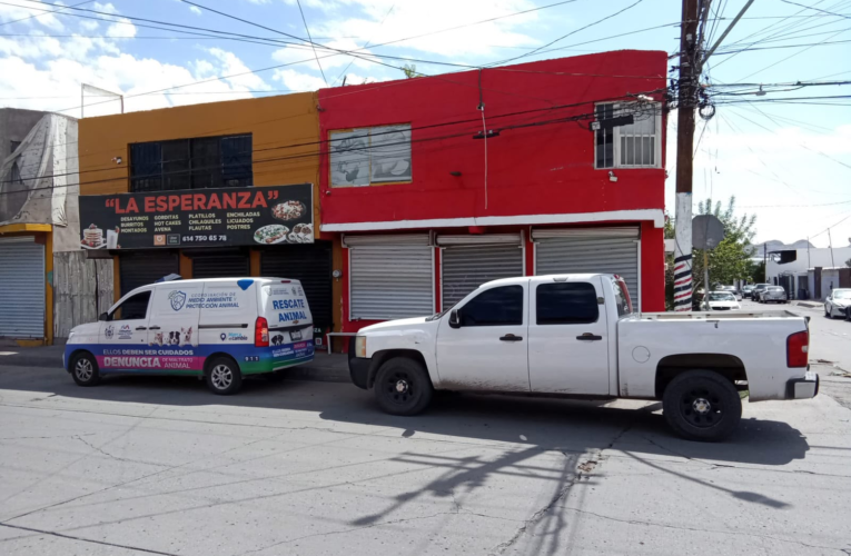 Detienen a hombre por presuntamente arrastrar a un animal en la vía pública de Chihuahua