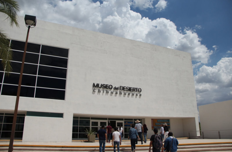Mudech ofrece actividades culturales de verano para niñas, niños y adolescentes en Delicias